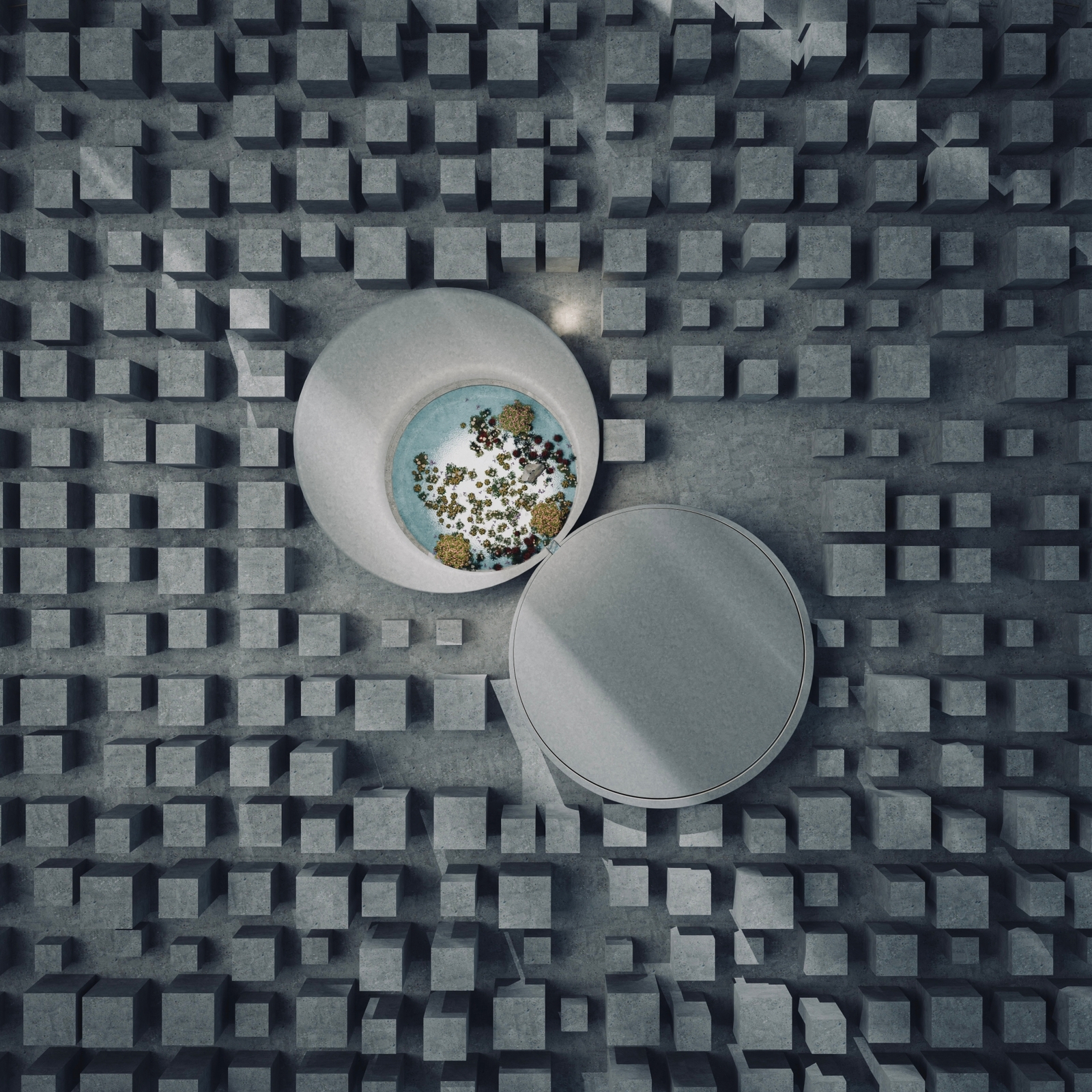 demo-image